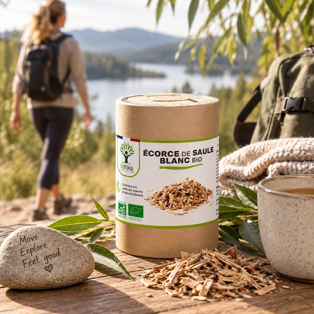 A cylindrical kraft paper container of organic white birch bark labeled 'ÉCORCE DE SAULE BLANC BIO' sits on a wooden table outdoors, with loose birch bark scattered around it. A hiker with a backpack walks blurred in the background near a lake, and a mug, leaves, and a stone are also visible in the scene.