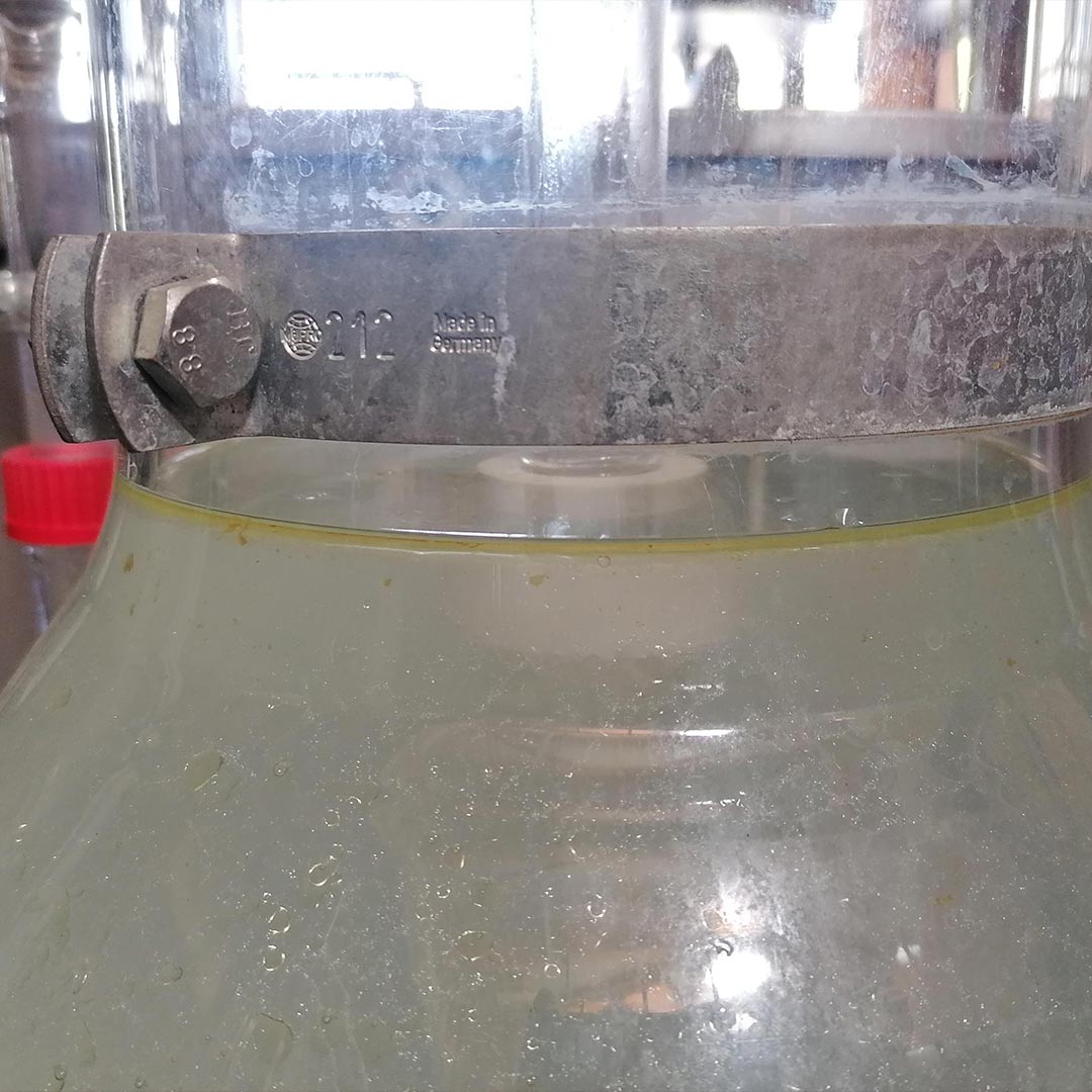 Essenciagua Yarrow Organic Hydrosol, 250ml - Elliotti