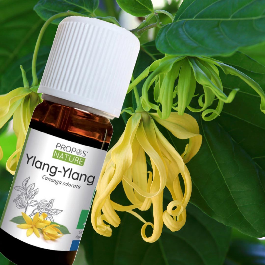 Ylang-Ylang