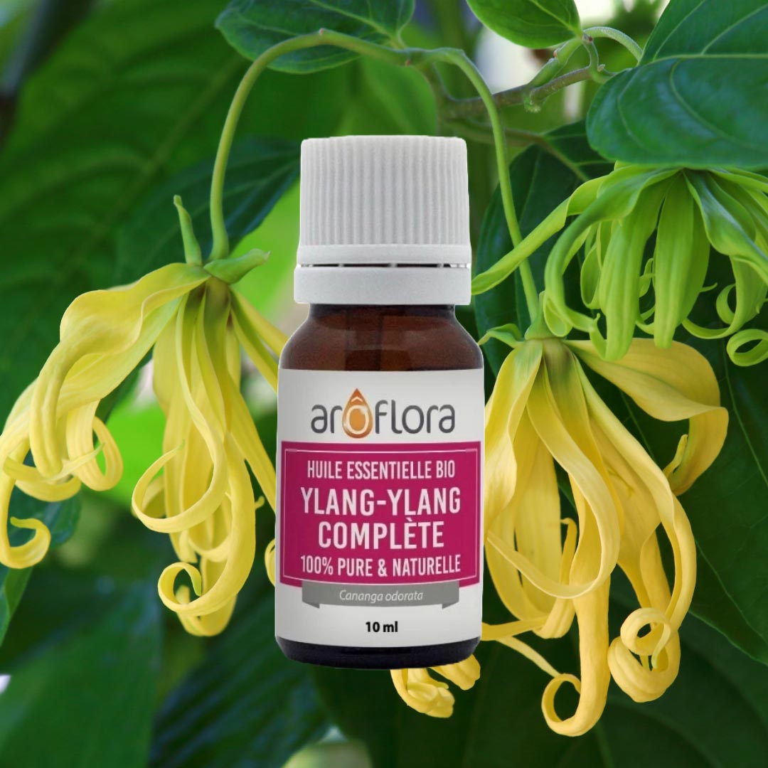 A bottle of Ylang ylang from French Aroflora on the background of yellow ylang ylang flowers hanging from the tree