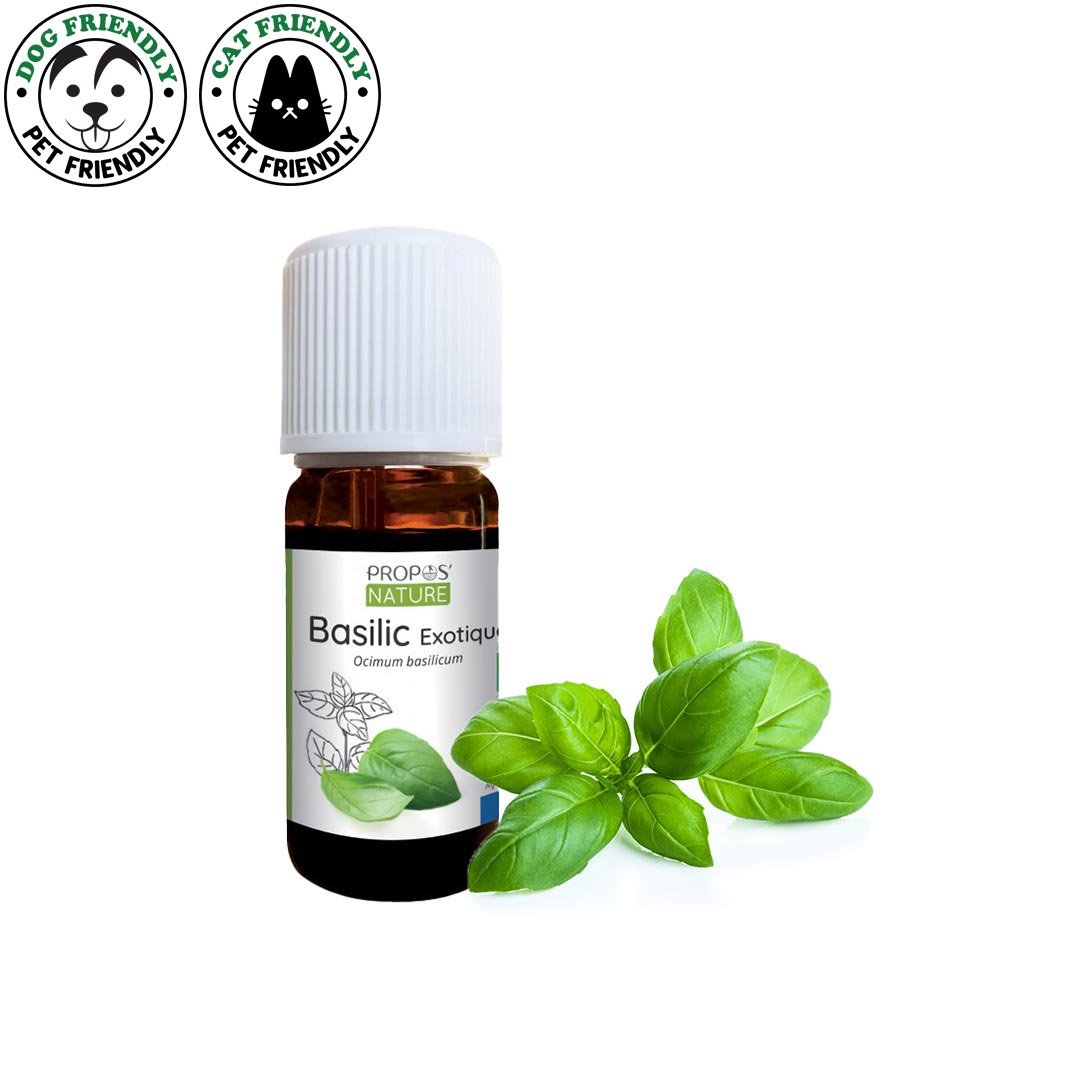 Basil Tropic Organic Essential Oil 10ml