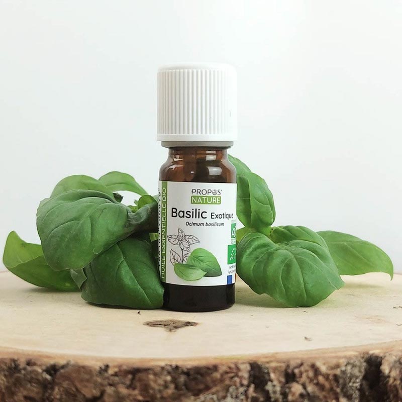 Laboratoire Propos'Nature Basil Tropic Organic Essential Oil, 10ml - Elliotti