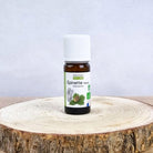 Laboratoire Propos'Nature Black Spruce Organic Essential Oil, 10ml - Elliotti