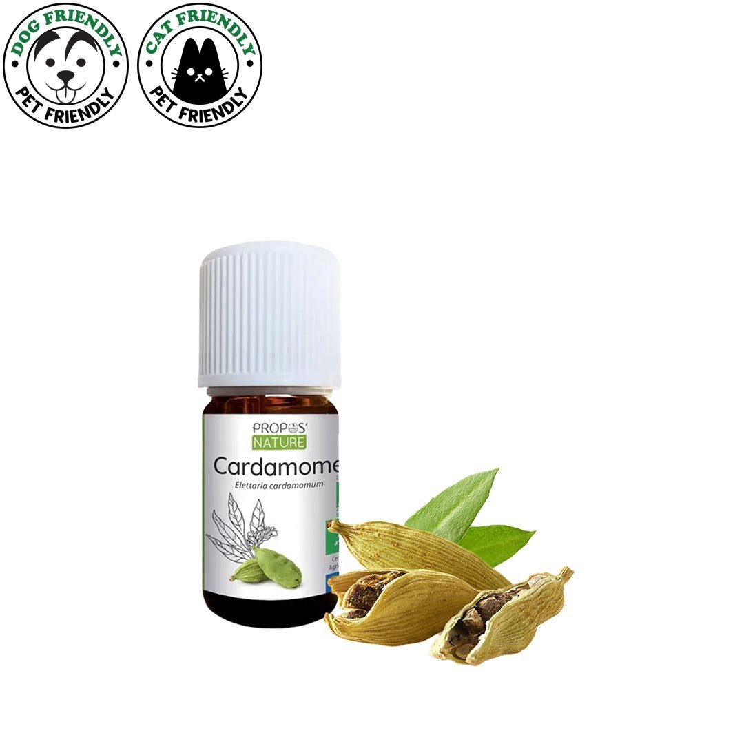 Laboratoire Propos'Nature Cardamom Organic Essential Oil, 5ml - Elliotti