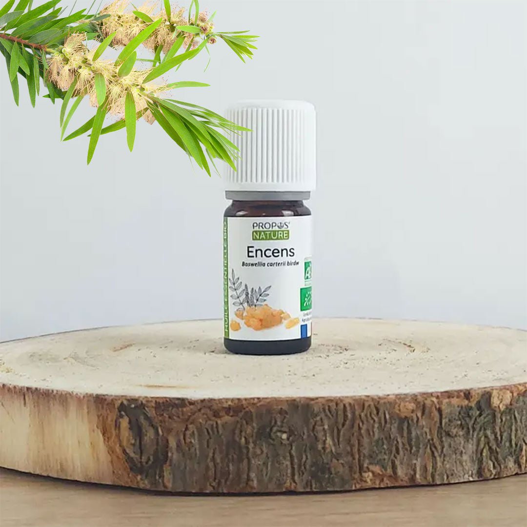 A bottle of Laboratoire Propos'Nature Frankincense Organic Essential Oil, 5ml standing on a wooden plate with a branch hanging over from the left- Elliotti