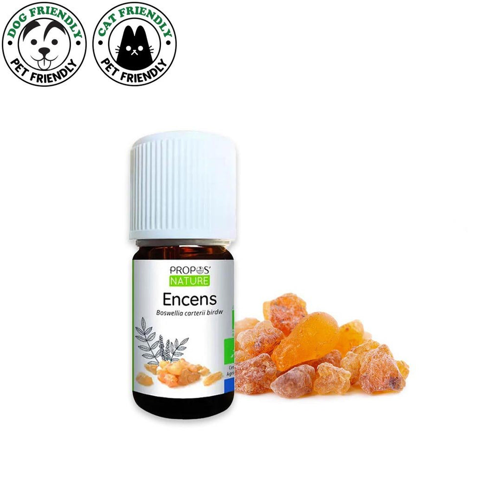 Laboratoire Propos'Nature Frankincense Organic Essential Oil, 5ml - Elliotti