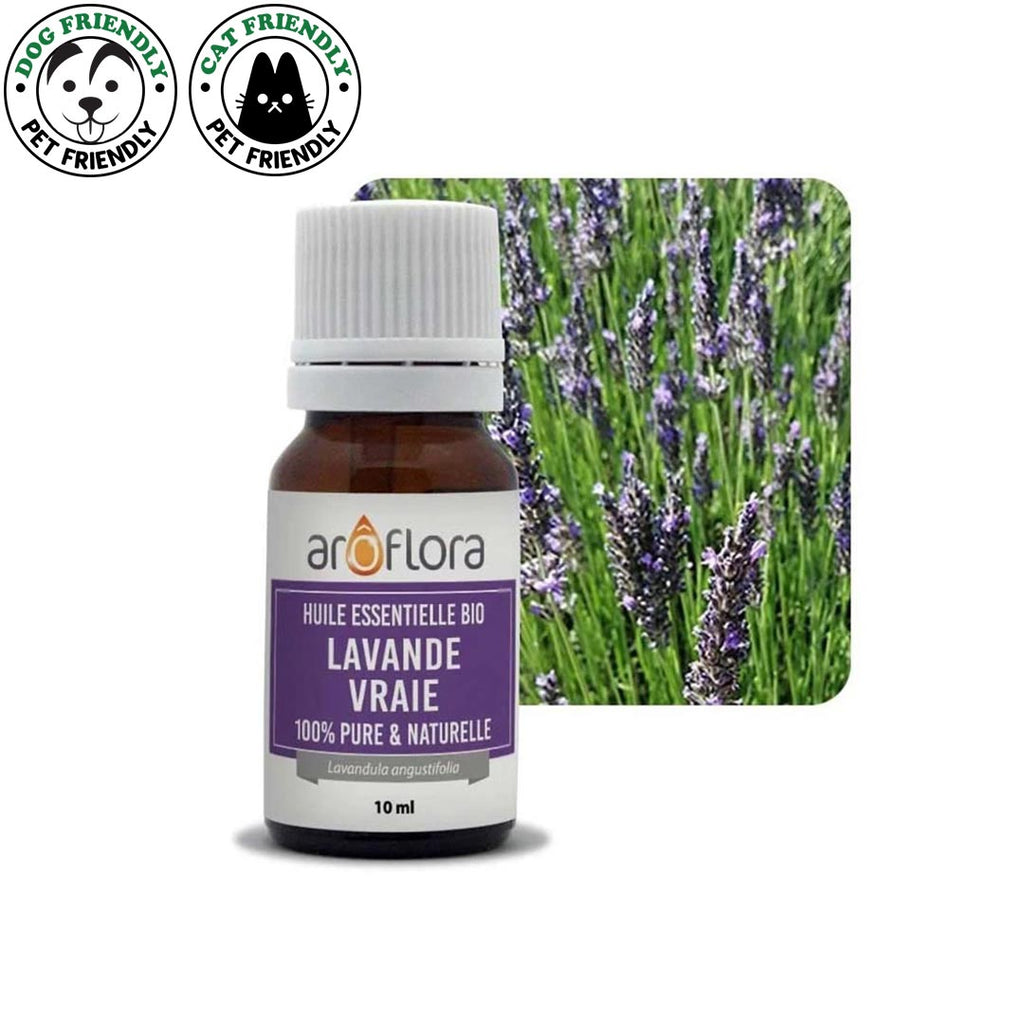 Innobiz Lavender Organic Essential Oil, 10ml - Elliotti