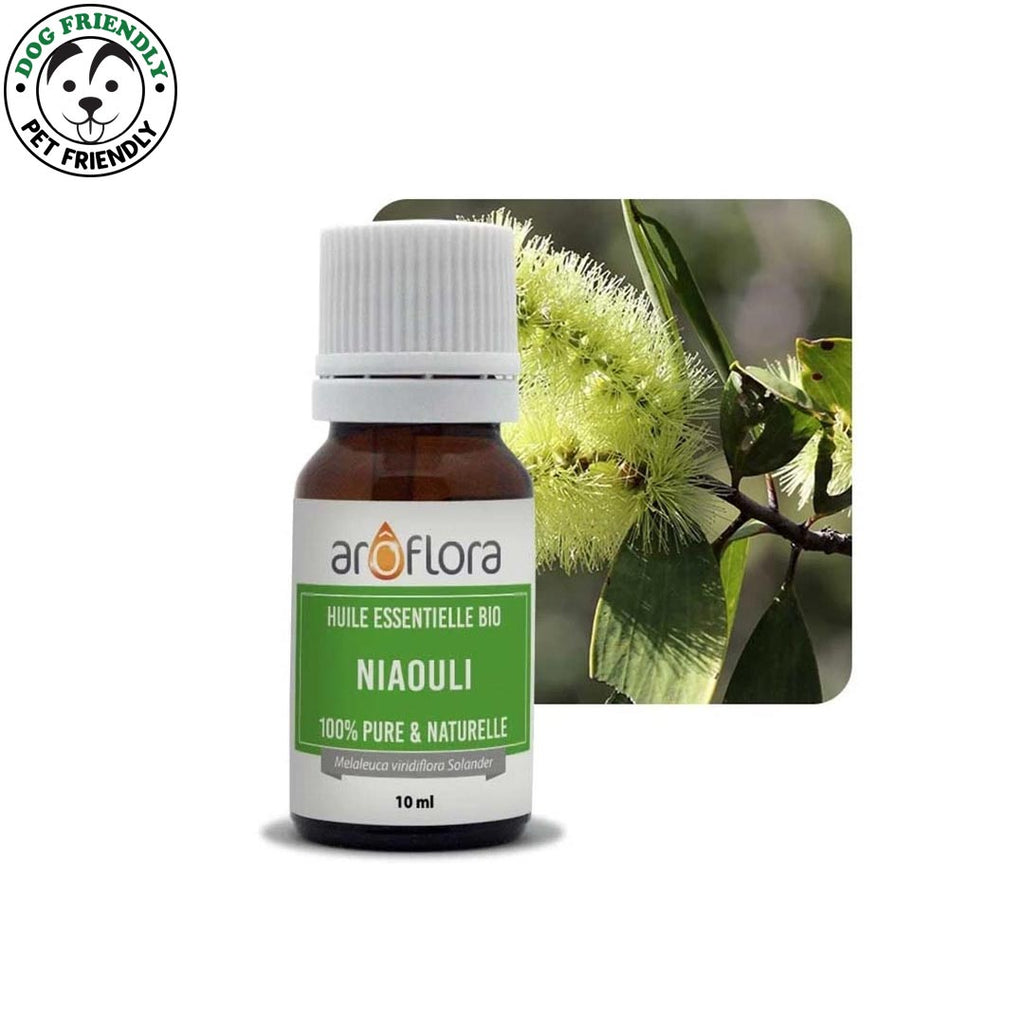 Innobiz Niaouli Organic Essential Oil, 10ml - Elliotti