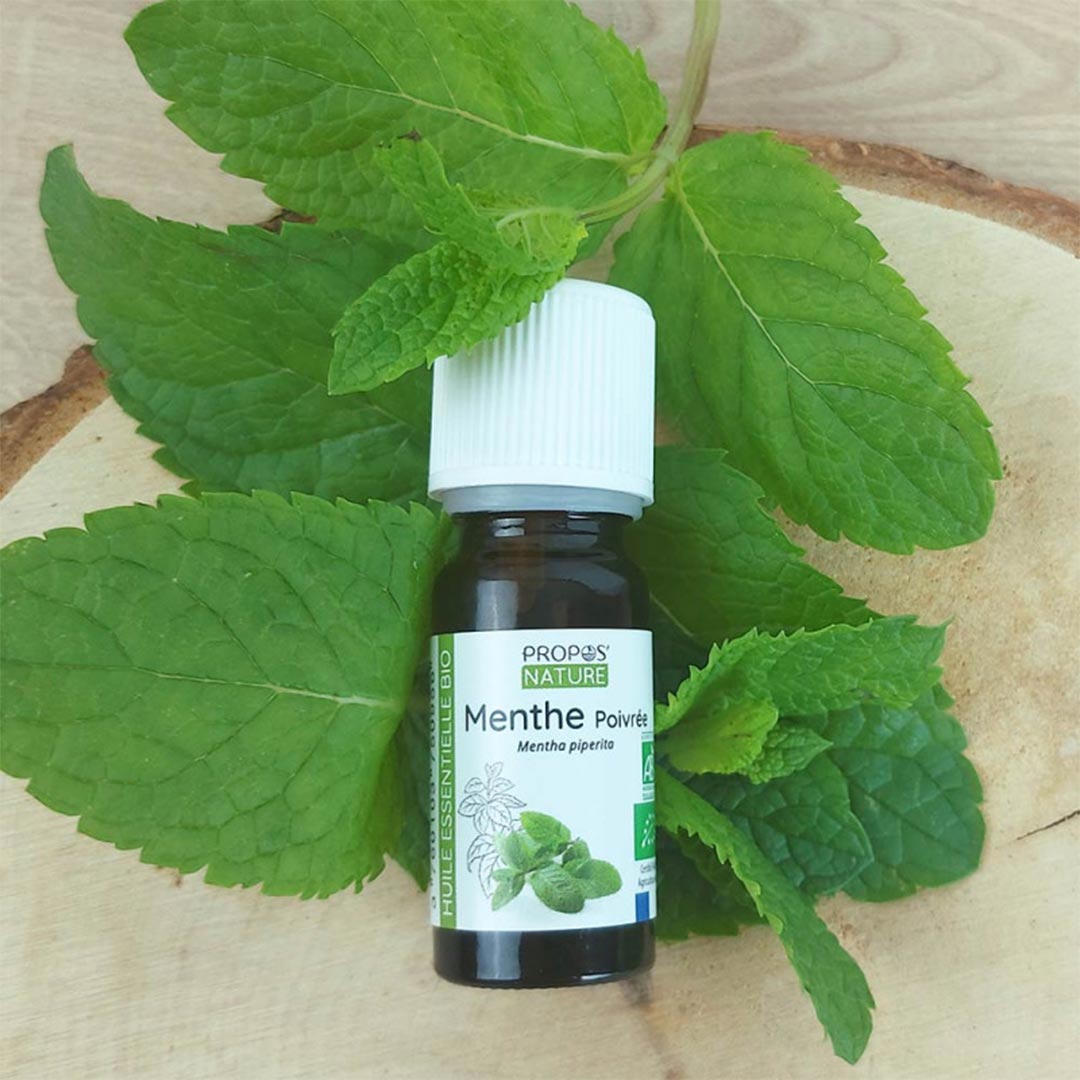 A bottle of Laboratoire Propos'Nature Peppermint Organic Essential Oil, 10ml laying on peppermint leaves - Elliotti