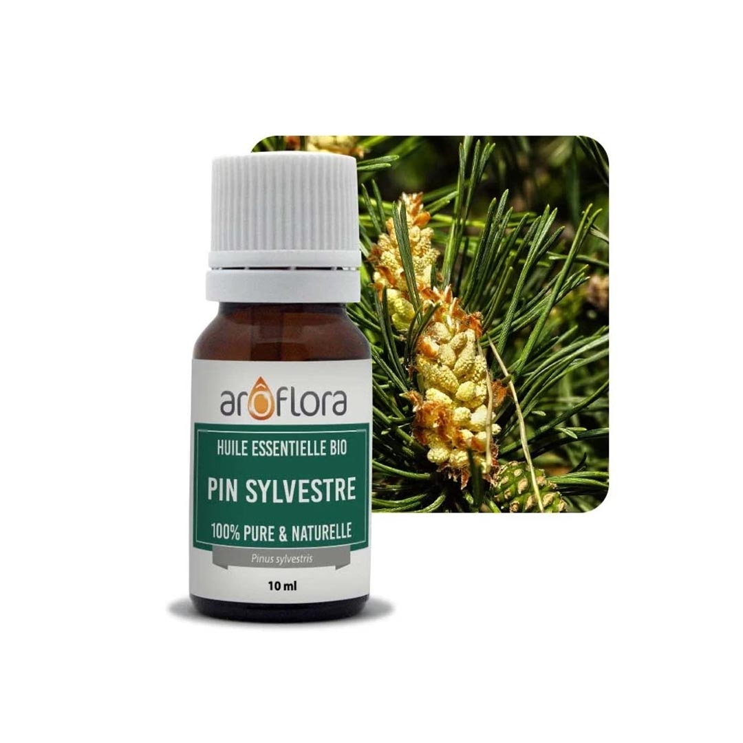 Innobiz Pine Organic Essential Oil, 10ml - Elliotti