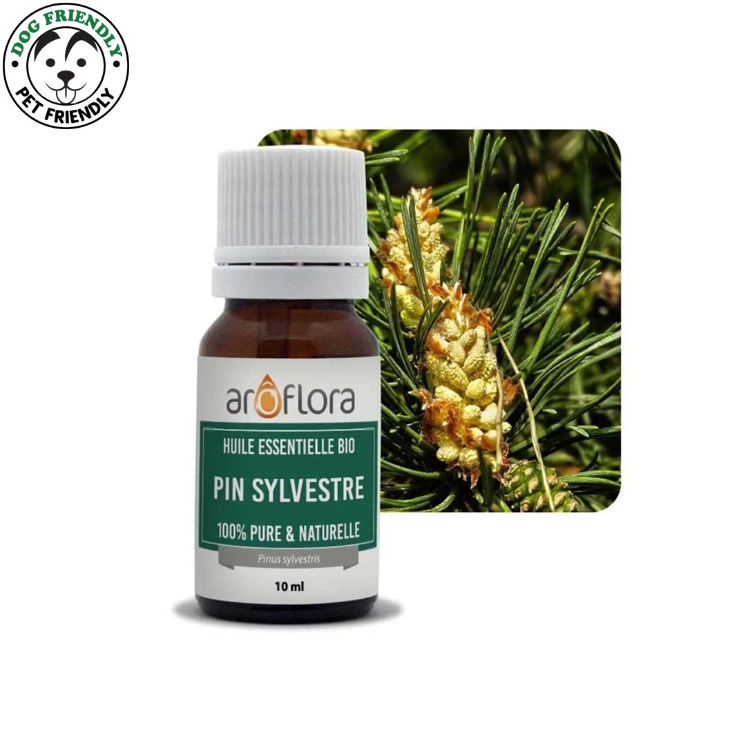 Innobiz Pine Organic Essential Oil, 10ml - Elliotti