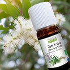 Laboratoire Propos'Nature Tea Tree Organic Essential Oil, 10ml - Elliotti