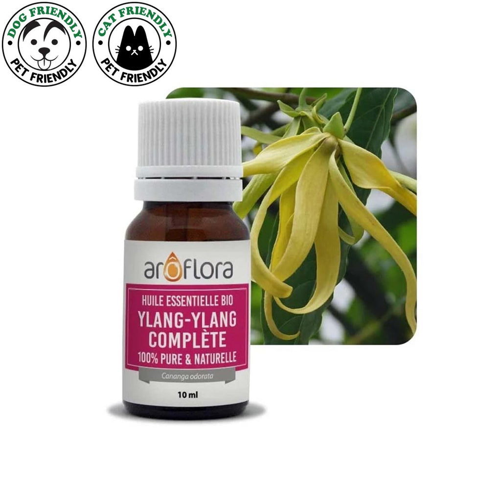 INNOBIZ Ylang Ylang Organic Essential Oil, 10ml - Elliotti