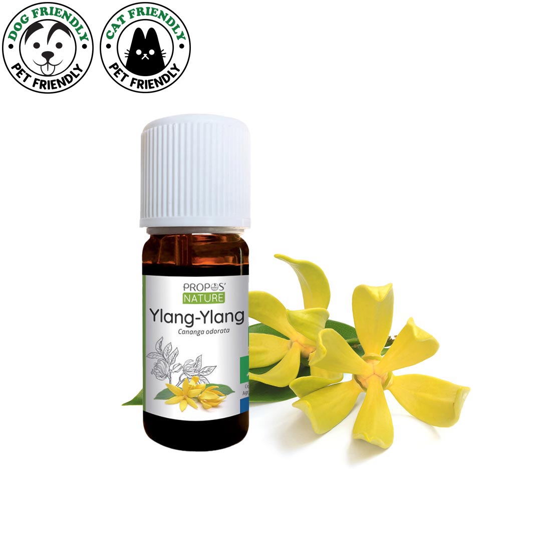 Laboratoire Propos'Nature Ylang Ylang Organic Essential Oil, 10ml - Elliotti